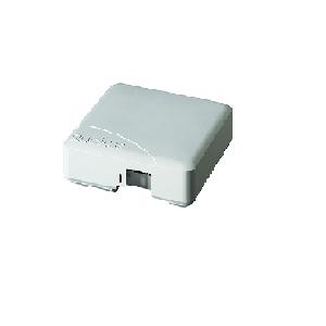 اکسس پوینت راکاس ZoneFlex R500